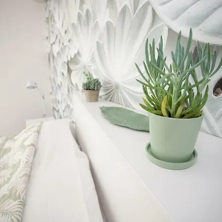 Splendide Design Frontiere Monaco * Beausoleil