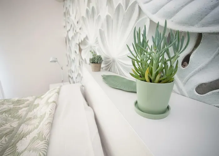 Splendide Design Frontiere Monaco * Beausoleil